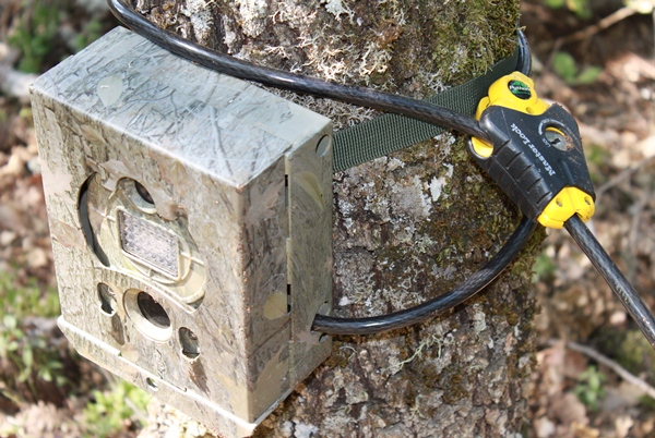 Câble Python Master Lock 8433 Câble Python Master Lock 8433